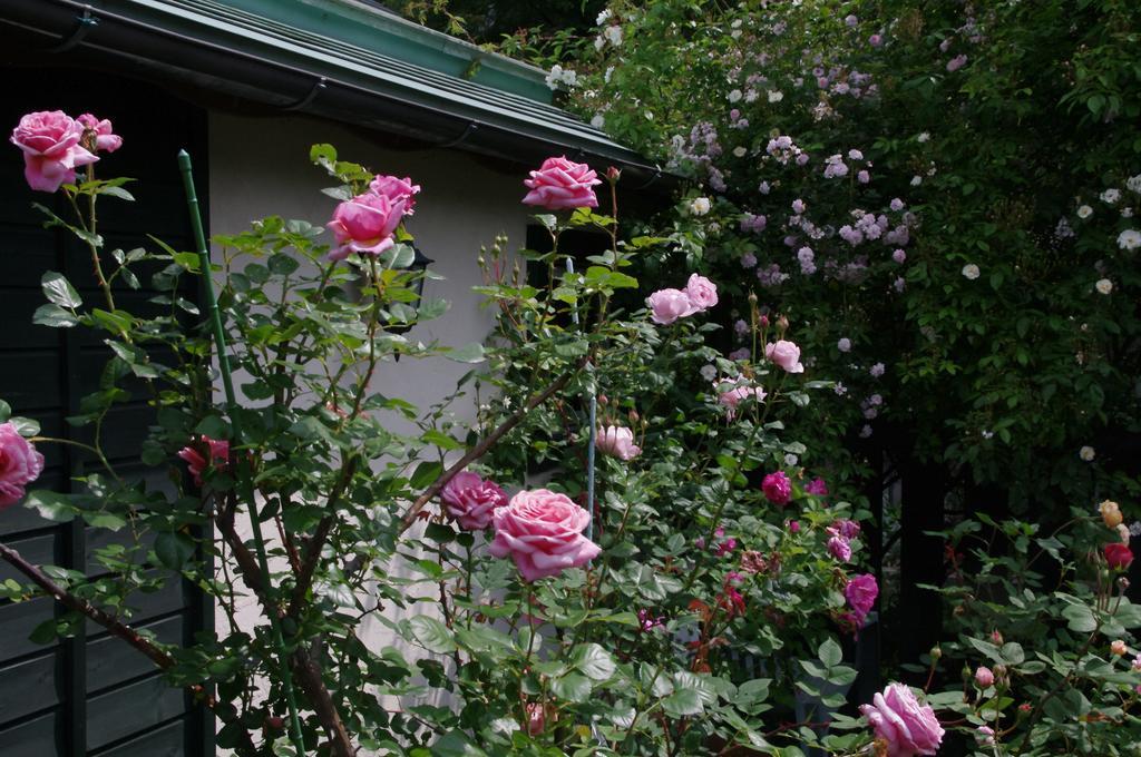 富士見町 トゥンブクトゥヴィラ エクステリア 写真